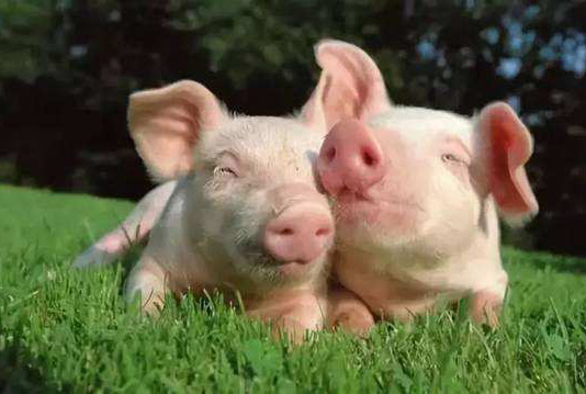 9113834671 9113834671